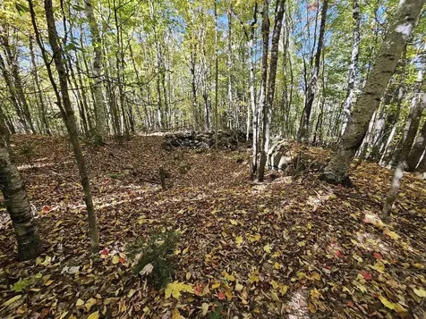 Tbd Temple Road Farmington ME 04938