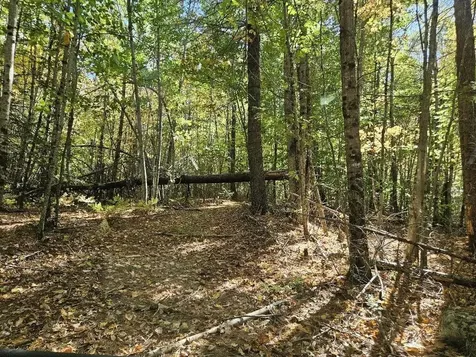 Tbd Temple Road Farmington ME 04938