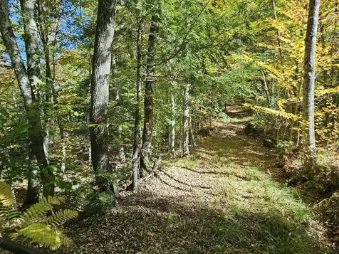 Tbd Temple Road Farmington ME 04938