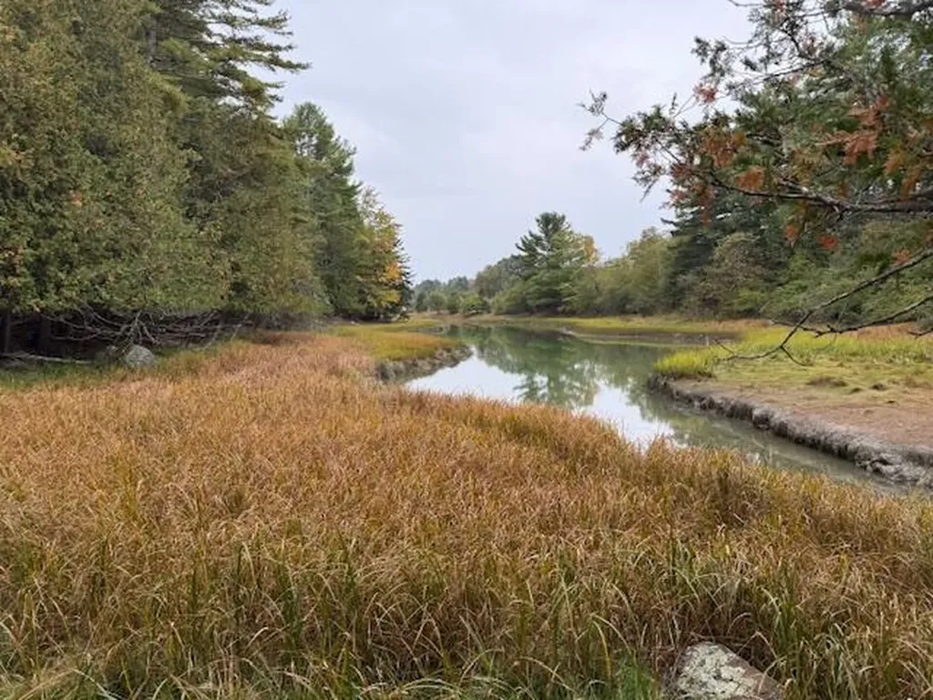352 Bayview Road Penobscot ME 04476