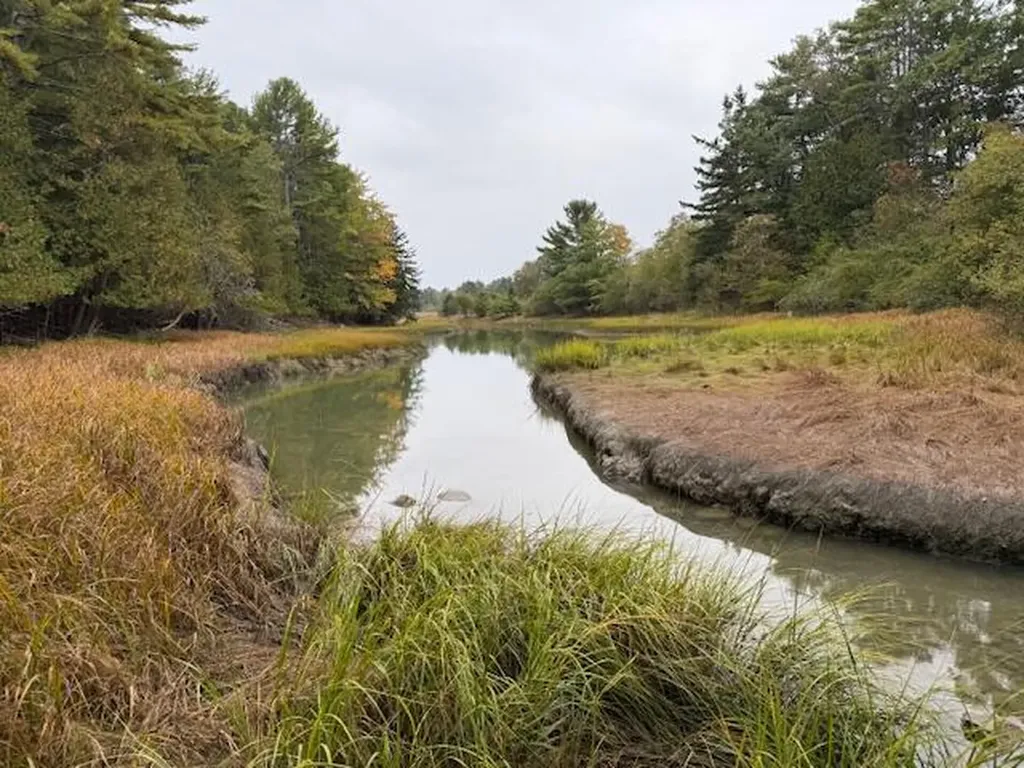 352 Bayview Road Penobscot ME 04476
