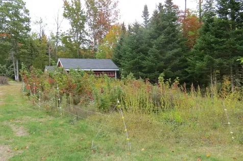 3 Morancy Road Sullivan ME 04664