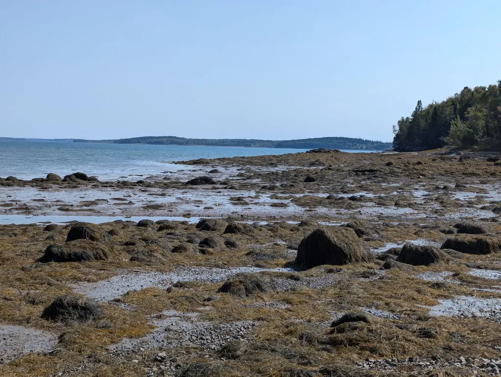 L1-1,2,3,4 Birch Point Road Perry ME 04667