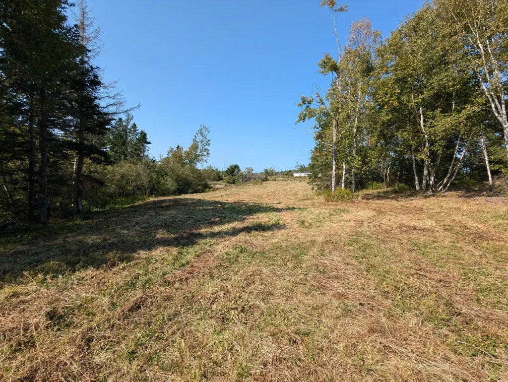 L1-1,2,3,4 Birch Point Road Perry ME 04667