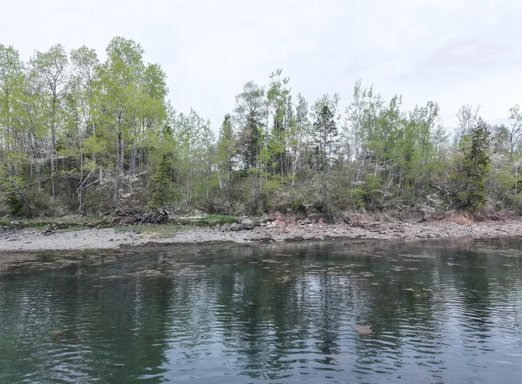 L1-1,2,3,4 Birch Point Road Perry ME 04667