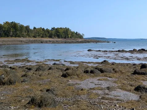 L1-1,2,3,4 Birch Point Road Perry ME 04667