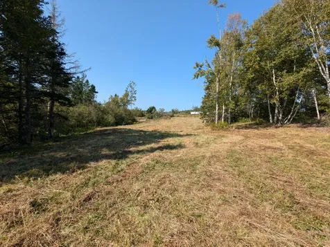 L1-1,2,3,4 Birch Point Road Perry ME 04667