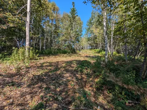 L1-1,2,3,4 Birch Point Road Perry ME 04667
