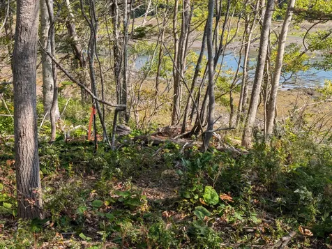L1-1,2,3,4 Birch Point Road Perry ME 04667