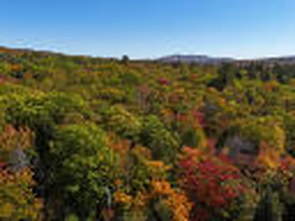 25-2 Sunset (Eagle Ridge) Lane Kingfield ME 04947