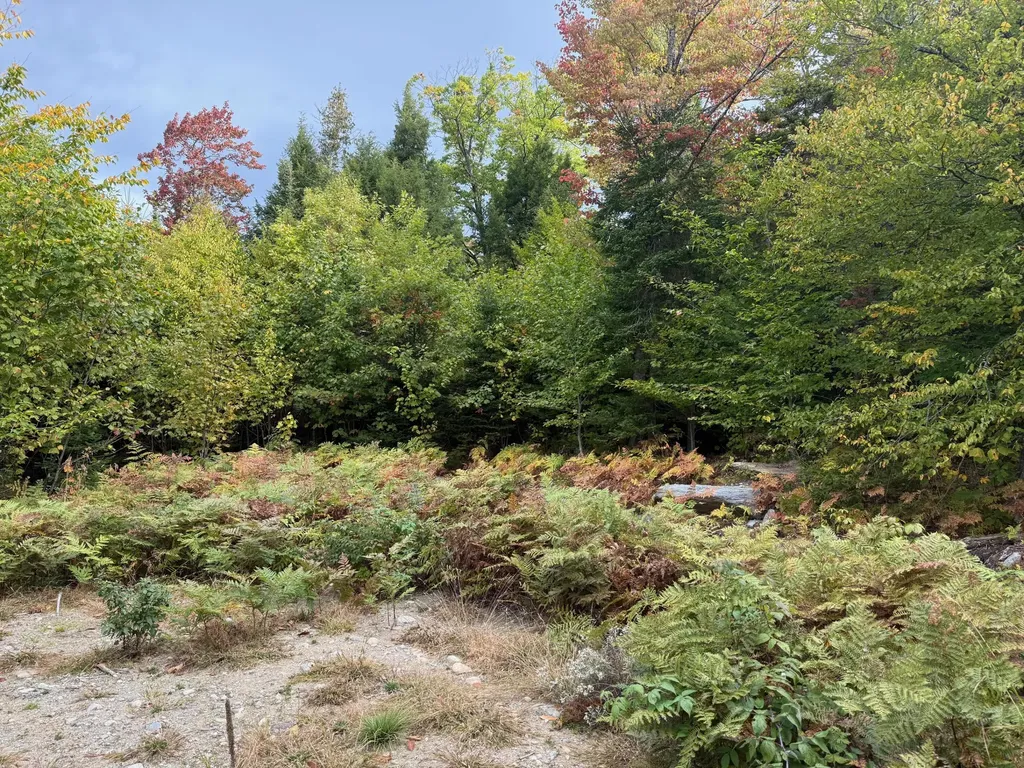 25-2 Sunset (Eagle Ridge) Lane Kingfield ME 04947
