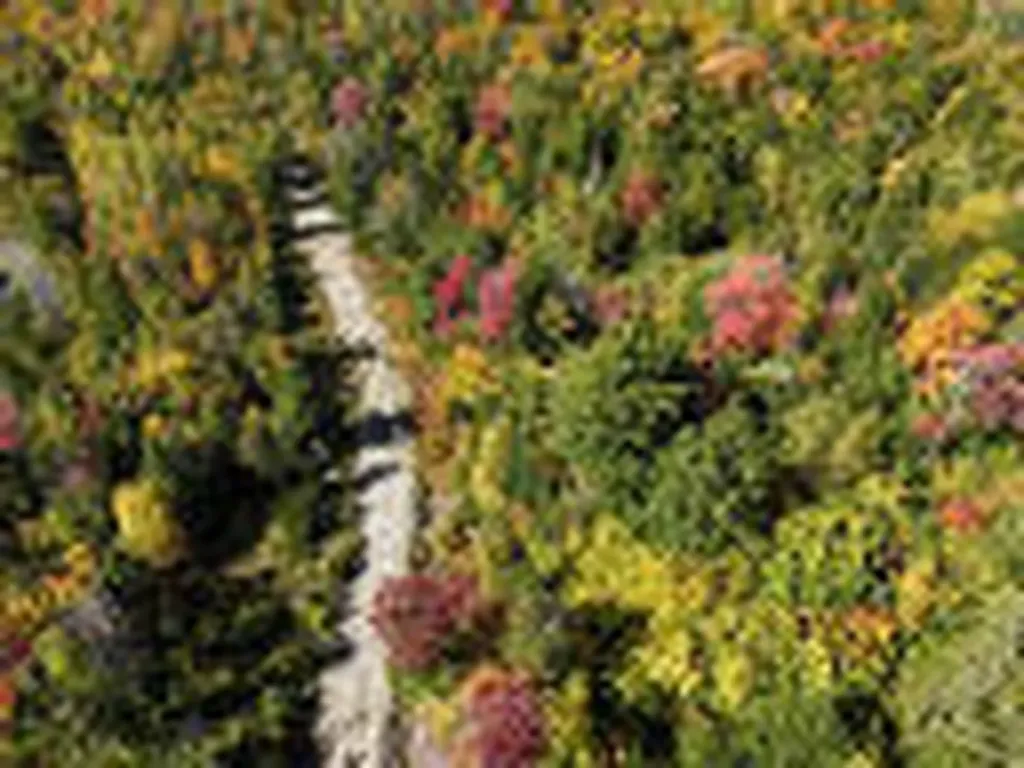 25-2 Sunset (Eagle Ridge) Lane Kingfield ME 04947