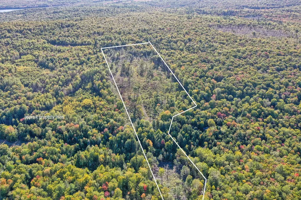 Lot 37 Wedge Heights Road Orland ME 04472
