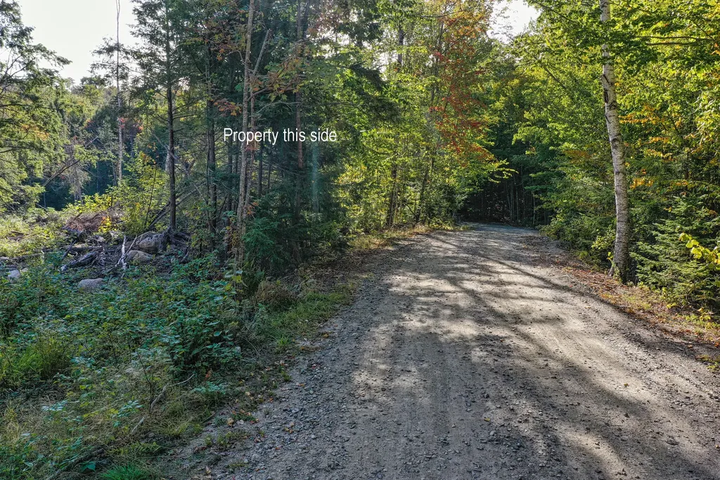 Lot 37 Wedge Heights Road Orland ME 04472