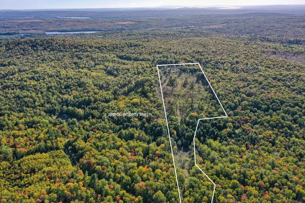 Lot 37 Wedge Heights Road Orland ME 04472