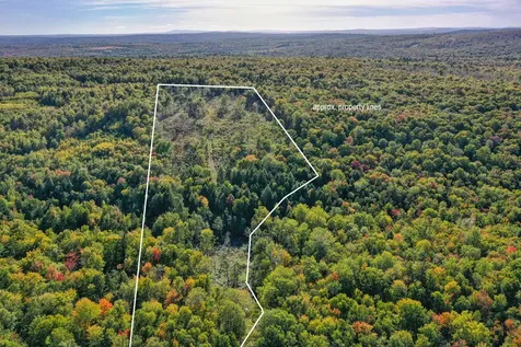 Lot 37 Wedge Heights Road Orland ME 04472
