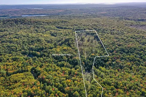 Lot 37 Wedge Heights Road Orland ME 04472