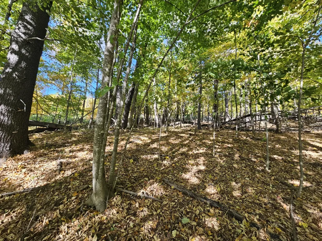 R-5 13-a Norton Hill Road Strong ME 04983