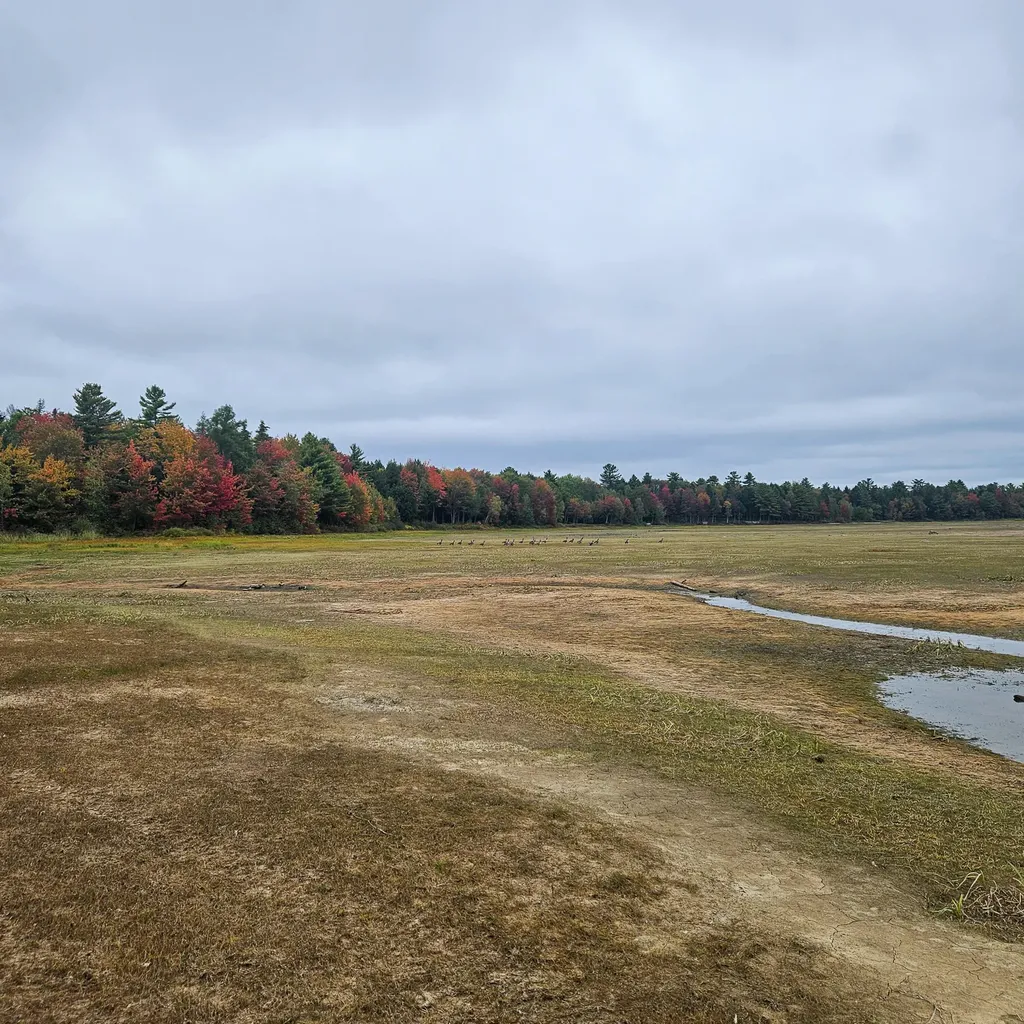 206 Morrison Farm Road Mariaville ME 04605