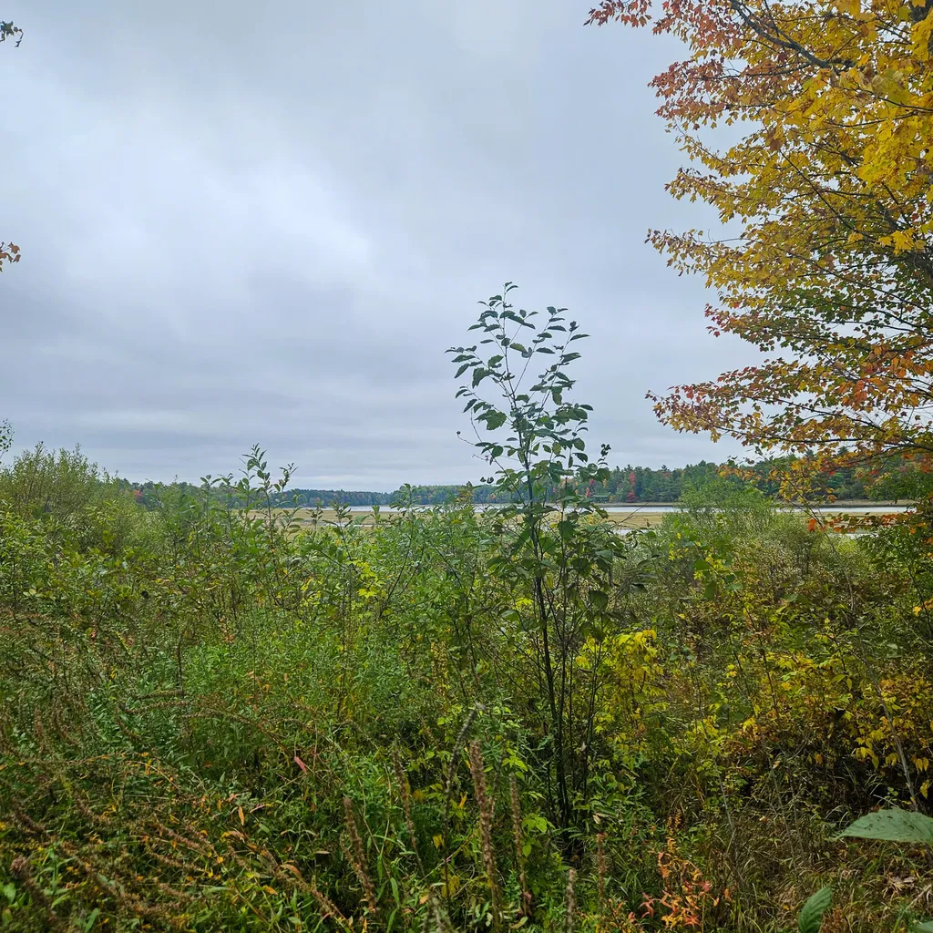 206 Morrison Farm Road Mariaville ME 04605