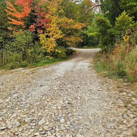 206 Morrison Farm Road Mariaville ME 04605