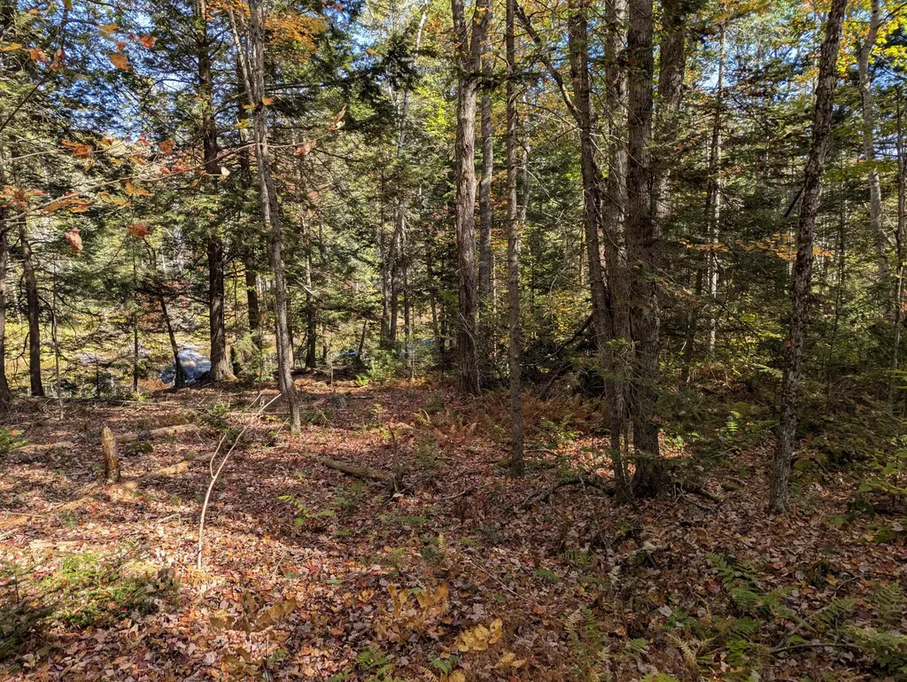 755 Winslows Mills Road N Waldoboro ME 04572