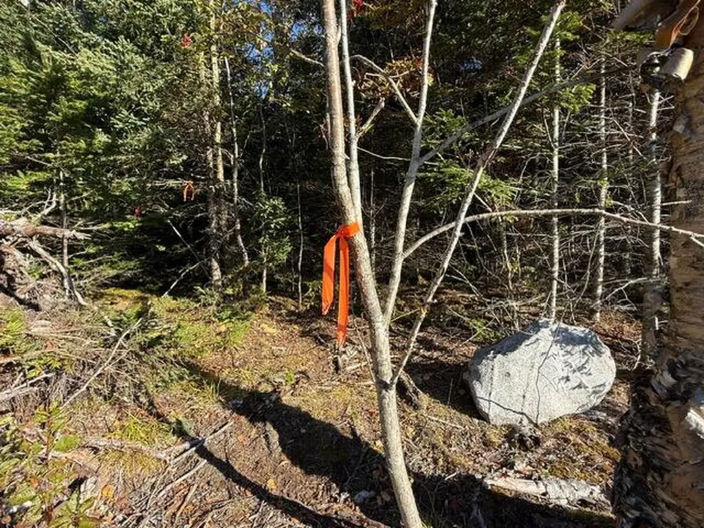 Lot 25 H Boot Cove Road Lubec ME 04652