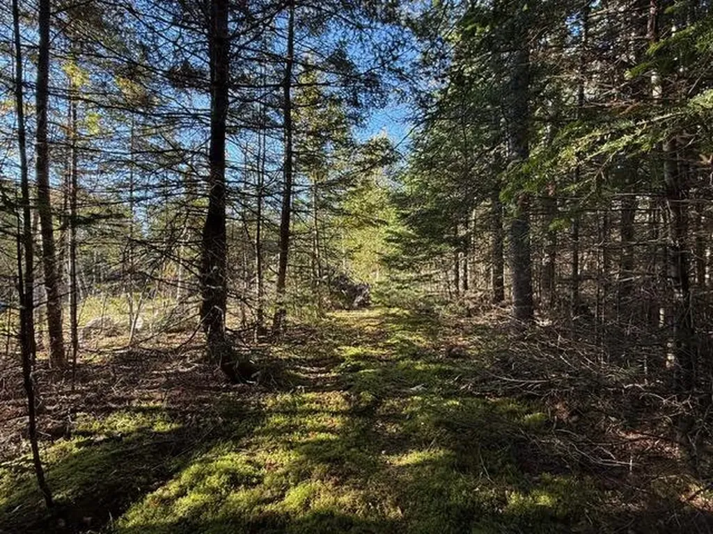 Lot 25 H Boot Cove Road Lubec ME 04652