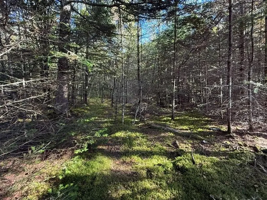 Lot 25 H Boot Cove Road Lubec ME 04652