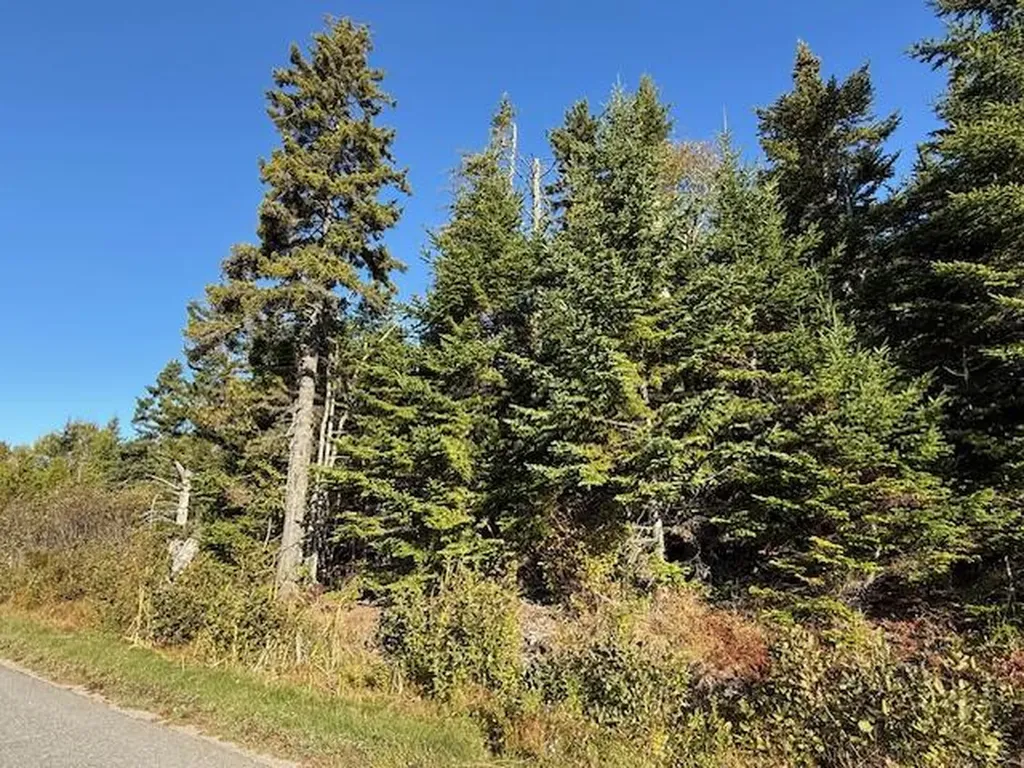Lot 25 H Boot Cove Road Lubec ME 04652