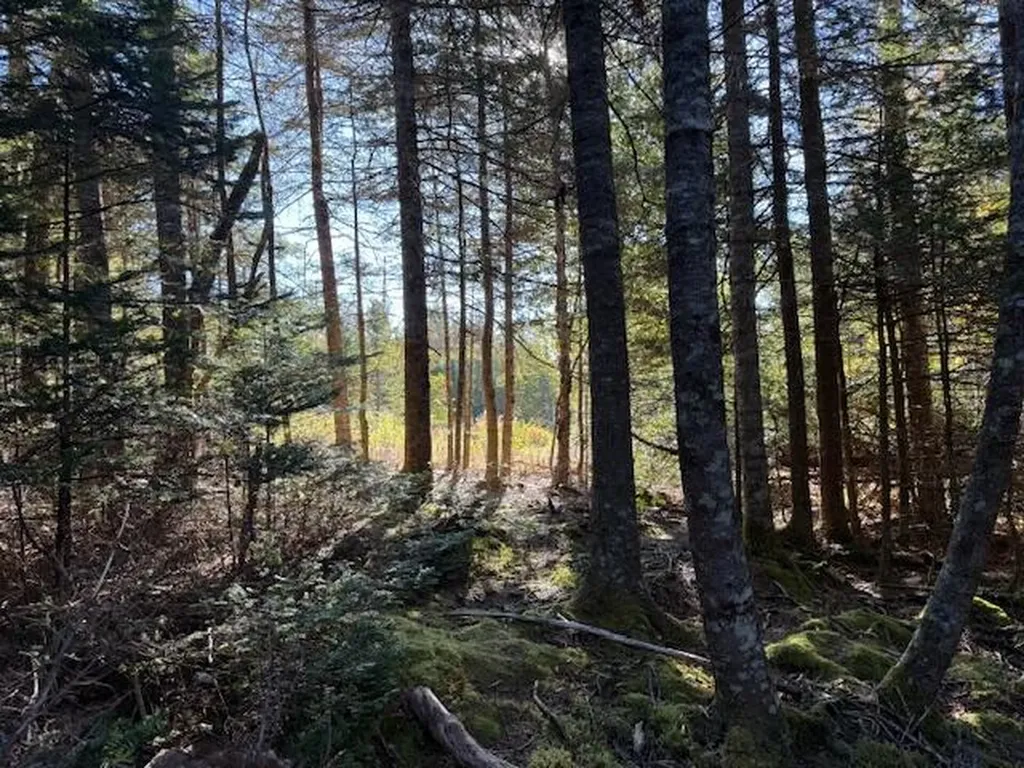 Lot 25 H Boot Cove Road Lubec ME 04652