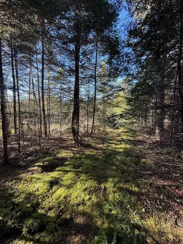 Lot 25 H Boot Cove Road Lubec ME 04652