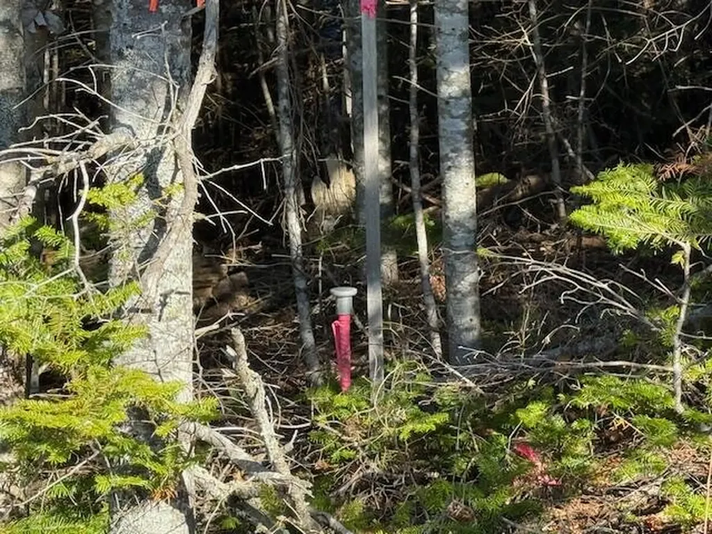 Lot 25 H Boot Cove Road Lubec ME 04652