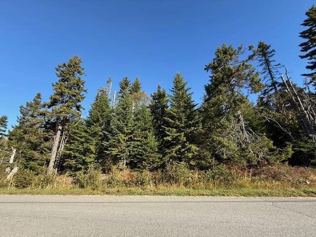 Lot 25 H Boot Cove Road Lubec ME 04652