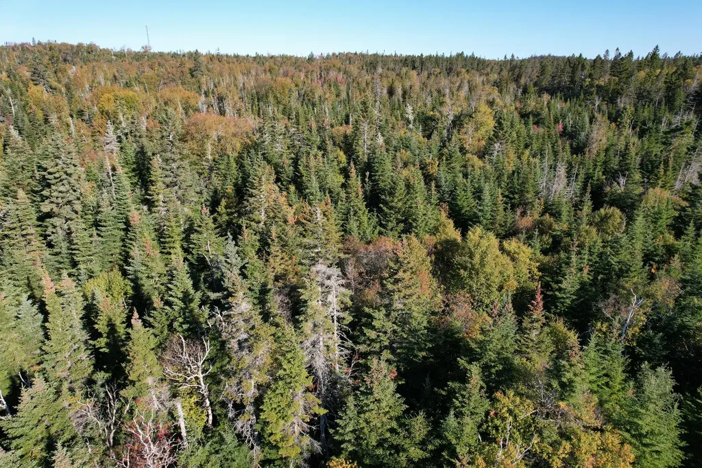 Lot 25 H Boot Cove Road Lubec ME 04652