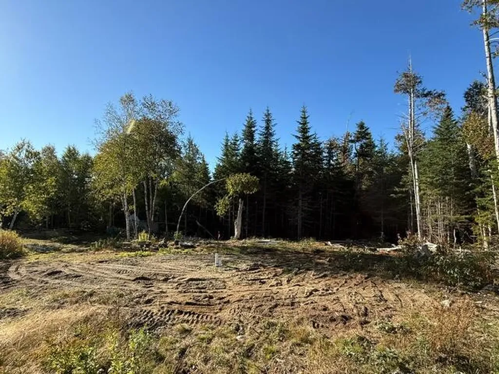 Lot 25 H Boot Cove Road Lubec ME 04652
