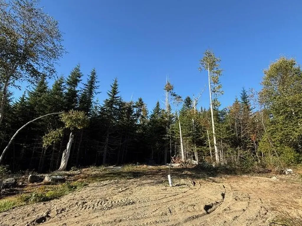 Lot 25 H Boot Cove Road Lubec ME 04652