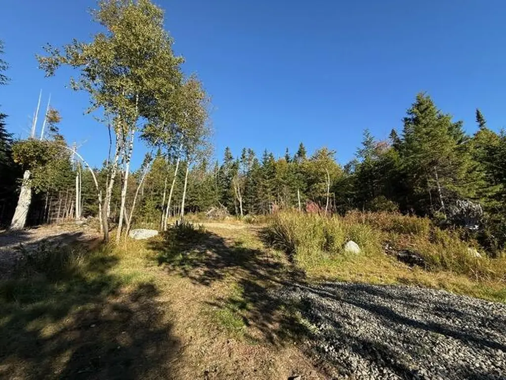 Lot 25 H Boot Cove Road Lubec ME 04652