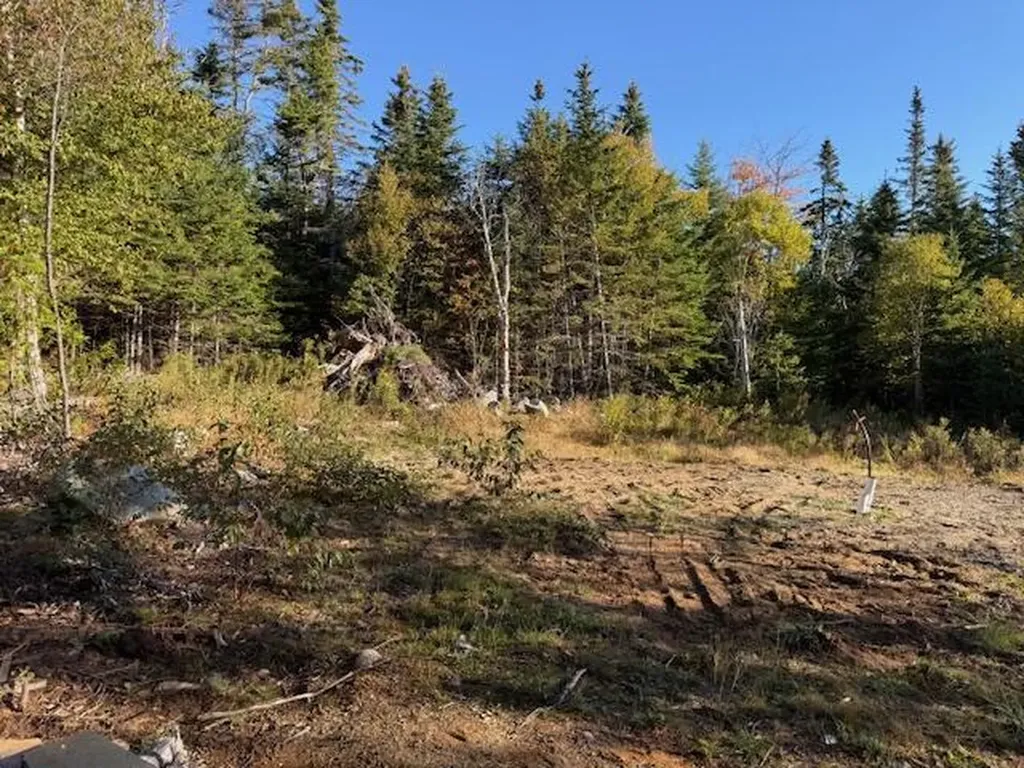 Lot 25 H Boot Cove Road Lubec ME 04652