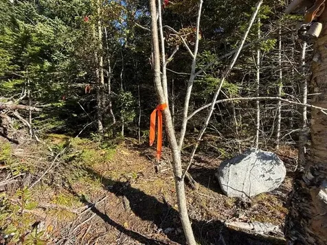 Lot 25 H Boot Cove Road Lubec ME 04652