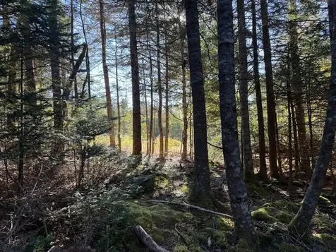 Lot 25 H Boot Cove Road Lubec ME 04652