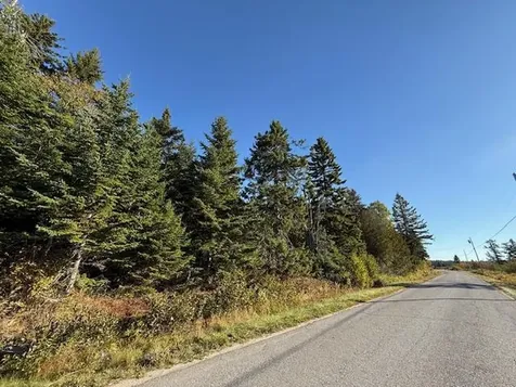 Lot 25 H Boot Cove Road Lubec ME 04652