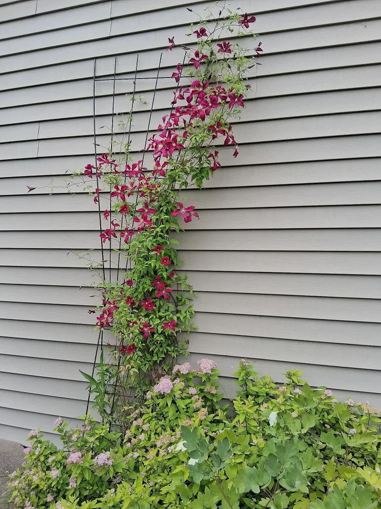 399 Wilton Road Farmington ME 04938