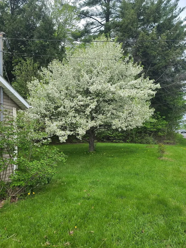 399 Wilton Road Farmington ME 04938