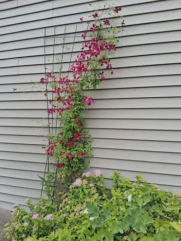 399 Wilton Road Farmington ME 04938