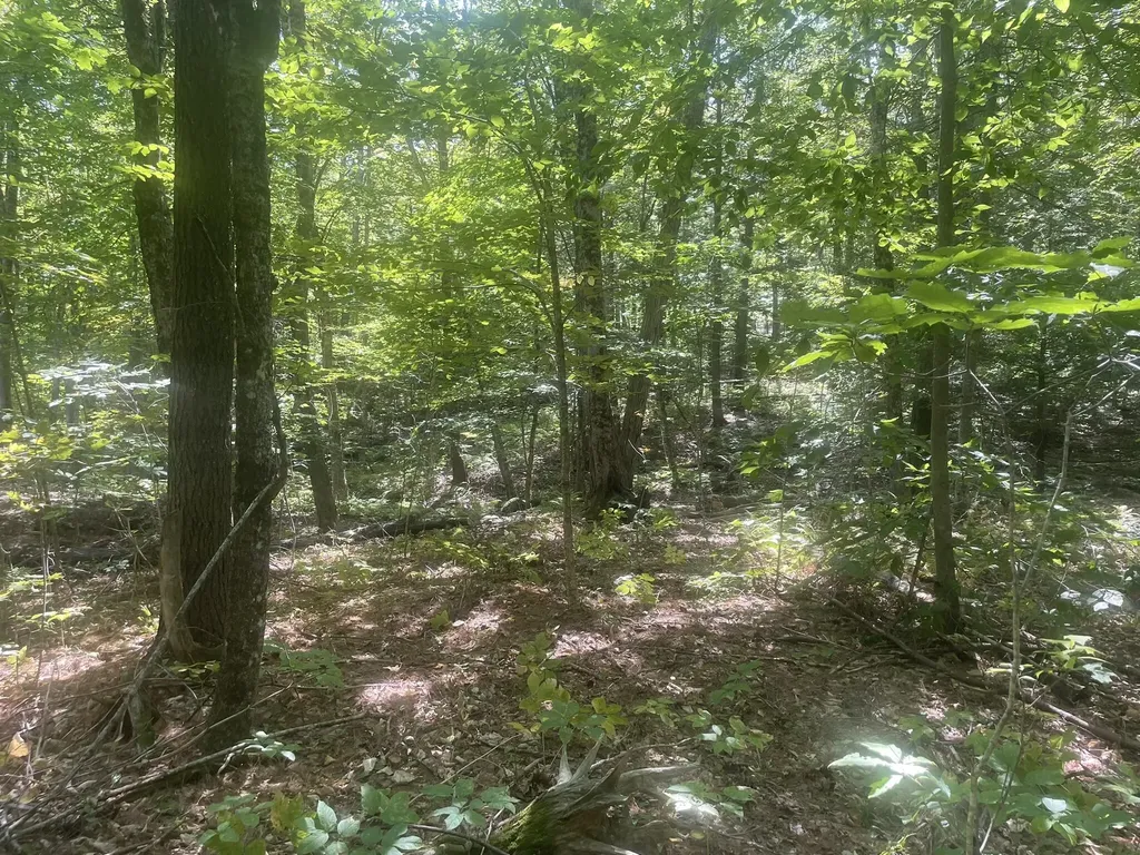 34 Gerber Lane Monmouth ME 04259