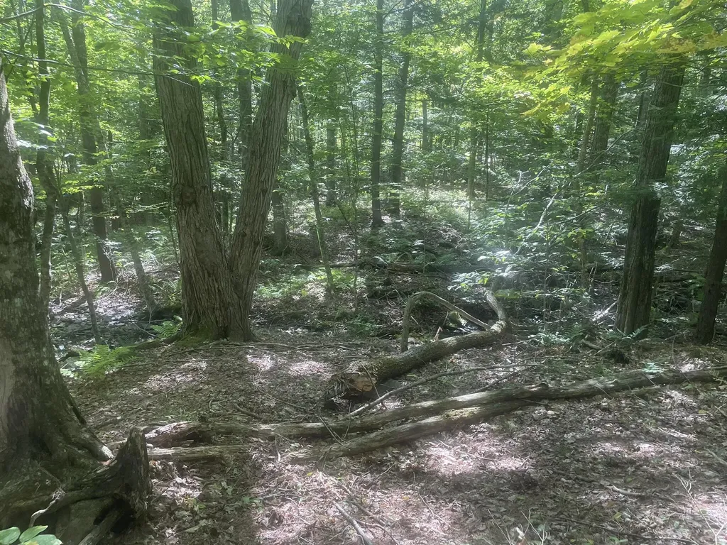 34 Gerber Lane Monmouth ME 04259