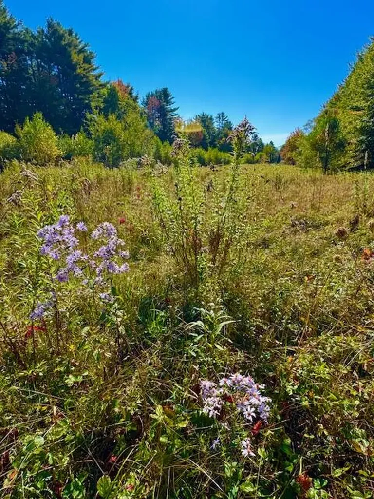 Lot 1 Oak Hill Road Smithfield ME 04978
