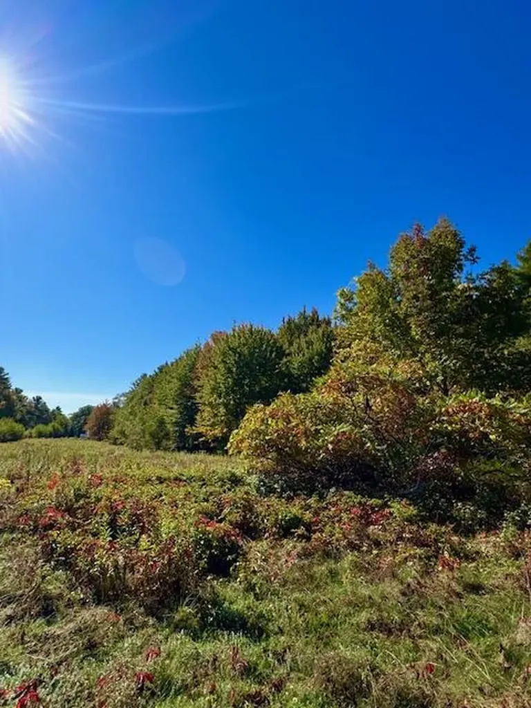 Lot 1 Oak Hill Road Smithfield ME 04978