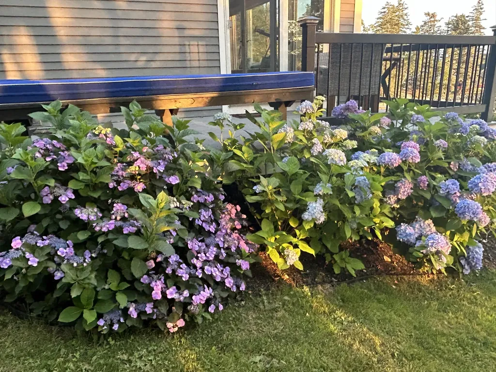 5 Little Dog Path South Thomaston ME 04858